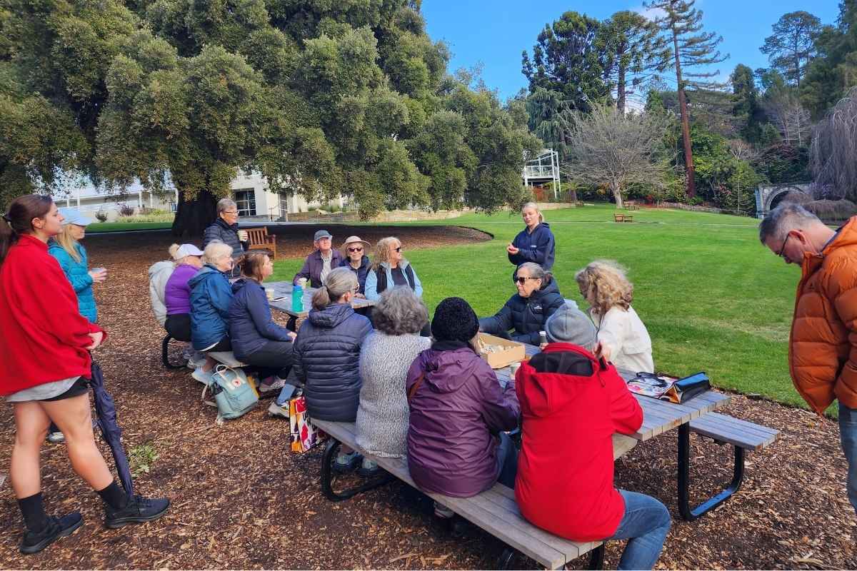 Walking grup sitting at picnic table in a park listening to womens health talk