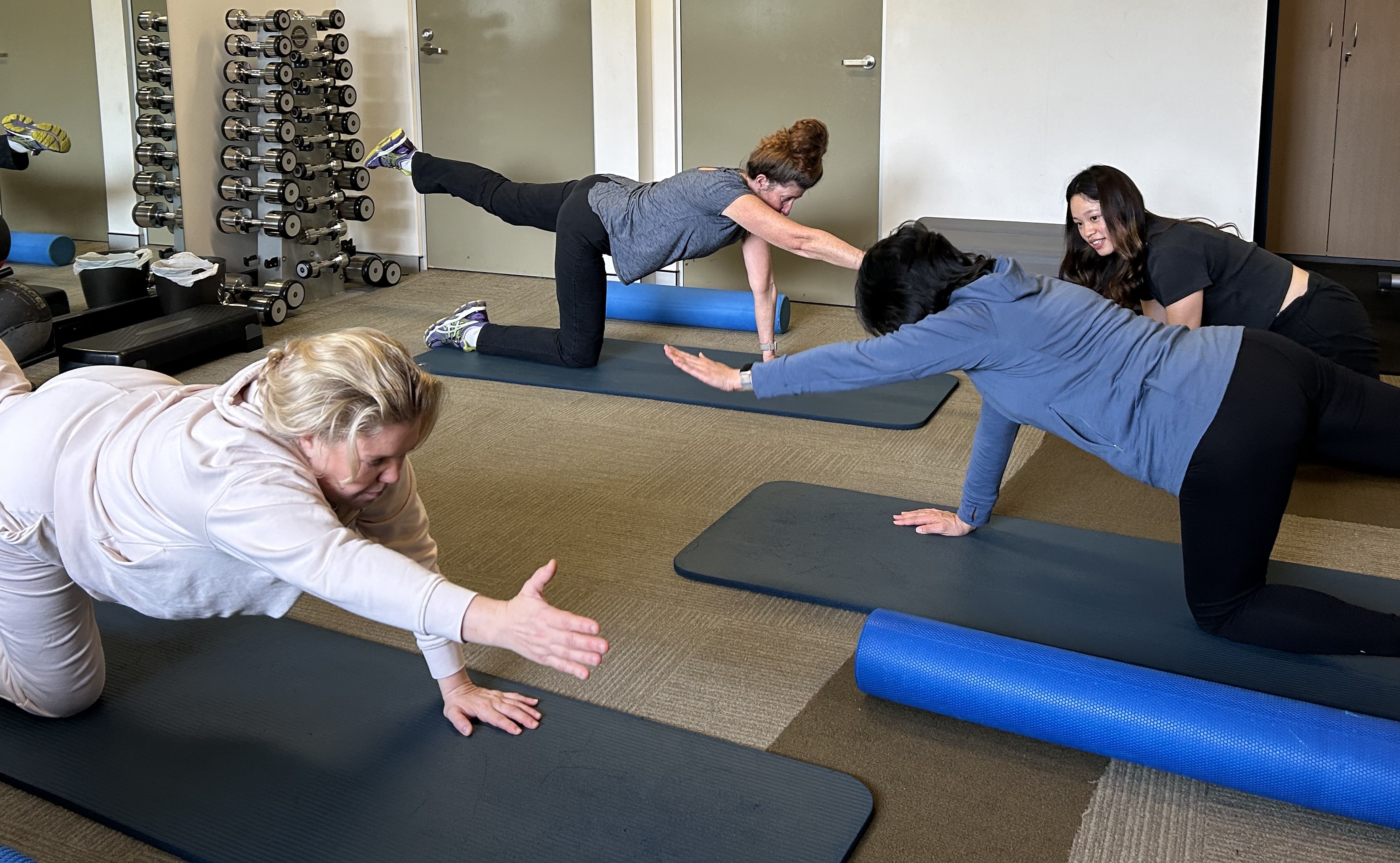 canbfit class